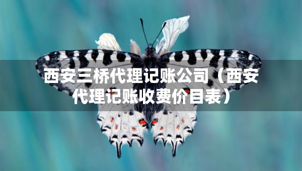 西安三橋代理記賬公司（西安代理記賬收費(fèi)價(jià)目表）