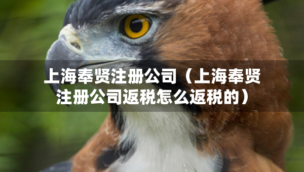 上海奉賢注冊公司（上海奉賢注冊公司返稅怎么返稅的）