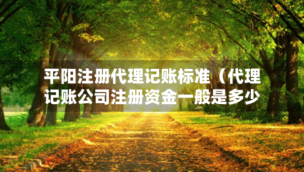平陽(yáng)注冊(cè)代理記賬標(biāo)準(zhǔn)（代理記賬公司注冊(cè)資金一般是多少）