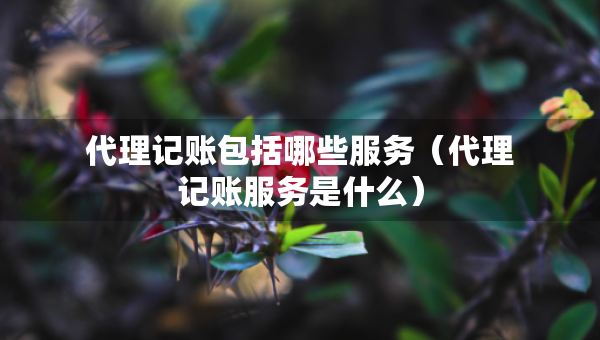 代理記賬包括哪些服務（代理記賬服務是什么）