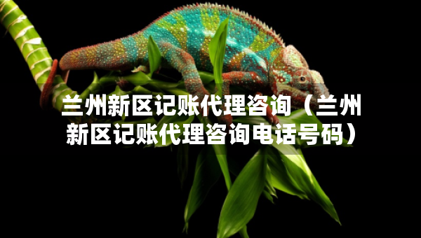 蘭州新區(qū)記賬代理咨詢（蘭州新區(qū)記賬代理咨詢電話號碼）