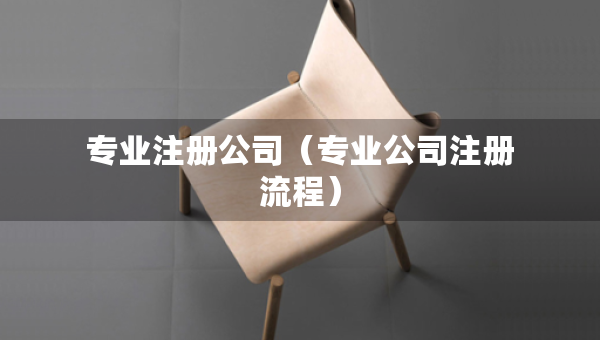 專業(yè)注冊公司（專業(yè)公司注冊流程）