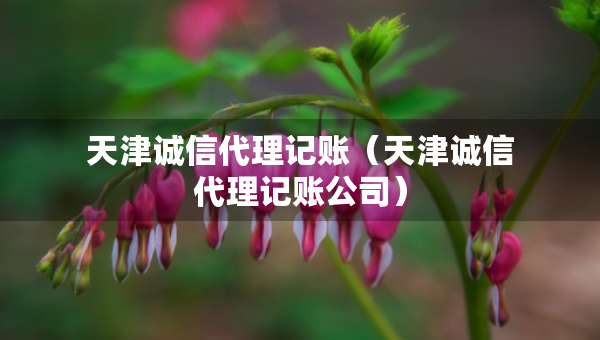 天津誠信代理記賬（天津誠信代理記賬公司）