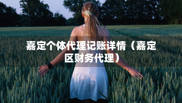 嘉定個體代理記賬詳情（嘉定區(qū)財務(wù)代理）