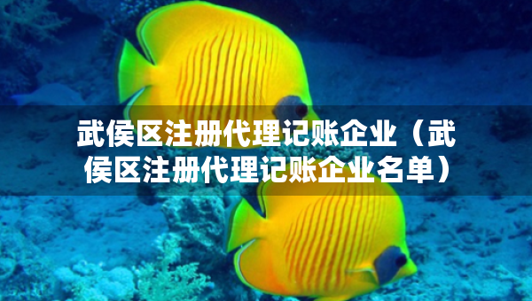 武侯區(qū)注冊代理記賬企業(yè)（武侯區(qū)注冊代理記賬企業(yè)名單）