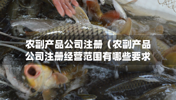 農(nóng)副產(chǎn)品公司注冊(cè)（農(nóng)副產(chǎn)品公司注冊(cè)經(jīng)營(yíng)范圍有哪些要求）