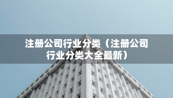 注冊公司行業(yè)分類（注冊公司行業(yè)分類大全最新）