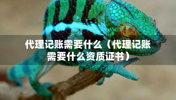 代理記賬需要什么（代理記賬需要什么資質(zhì)證書）
