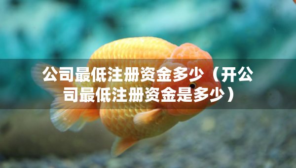 公司最低注冊(cè)資金多少（開公司最低注冊(cè)資金是多少）