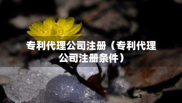 專利代理公司注冊(cè)（專利代理公司注冊(cè)條件）