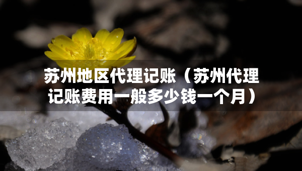 蘇州地區(qū)代理記賬（蘇州代理記賬費用一般多少錢一個月）