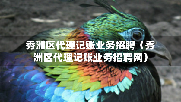 秀洲區(qū)代理記賬業(yè)務(wù)招聘（秀洲區(qū)代理記賬業(yè)務(wù)招聘網(wǎng)）