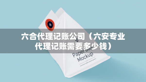 六合代理記賬公司（六安專業(yè)代理記賬需要多少錢）