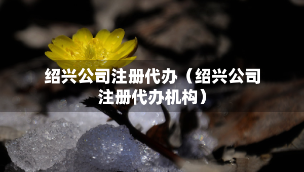 紹興公司注冊代辦（紹興公司注冊代辦機(jī)構(gòu)）
