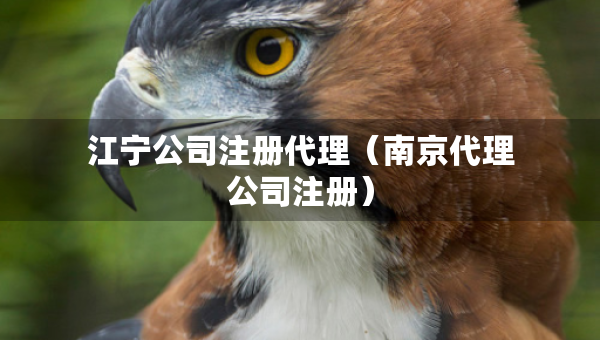 江寧公司注冊代理（南京代理公司注冊）