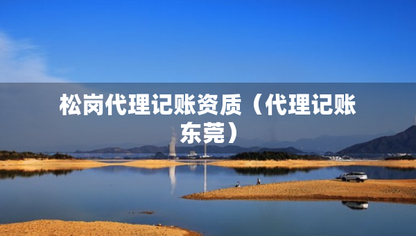 松崗代理記賬資質(zhì)（代理記賬東莞）