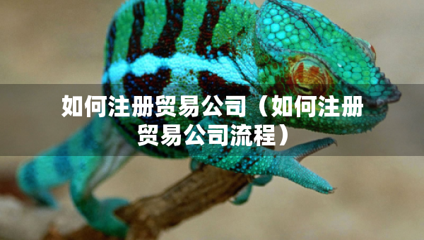 如何注冊貿(mào)易公司（如何注冊貿(mào)易公司流程）