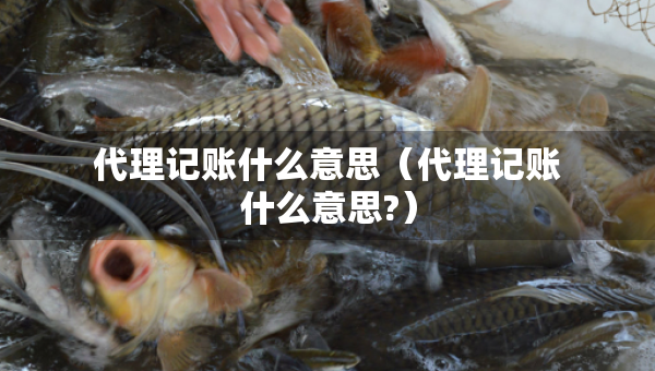 代理記賬什么意思（代理記賬什么意思?）