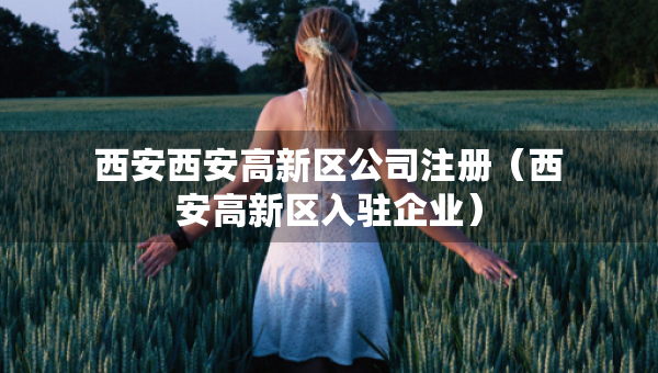 西安西安高新區(qū)公司注冊（西安高新區(qū)入駐企業(yè)）