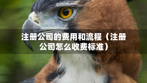 注冊(cè)公司的費(fèi)用和流程（注冊(cè)公司怎么收費(fèi)標(biāo)準(zhǔn)）