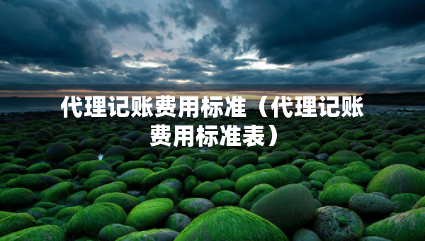 代理記賬費(fèi)用標(biāo)準(zhǔn)（代理記賬費(fèi)用標(biāo)準(zhǔn)表）