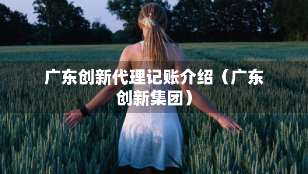 廣東創(chuàng)新代理記賬介紹（廣東創(chuàng)新集團(tuán)）