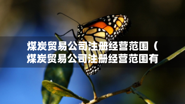 煤炭貿(mào)易公司注冊經(jīng)營范圍（煤炭貿(mào)易公司注冊經(jīng)營范圍有哪些）