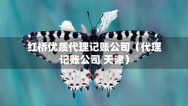 紅橋優(yōu)質(zhì)代理記賬公司（代理記賬公司 天津）
