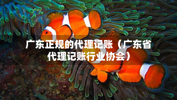 廣東正規(guī)的代理記賬（廣東省代理記賬行業(yè)協(xié)會(huì)）