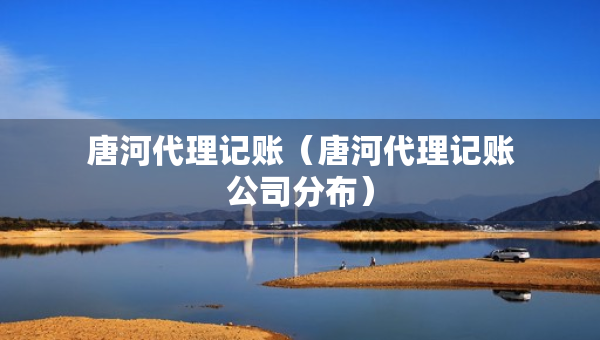 唐河代理記賬（唐河代理記賬公司分布）