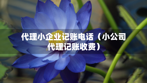 代理小企業(yè)記賬電話（小公司代理記賬收費(fèi)）