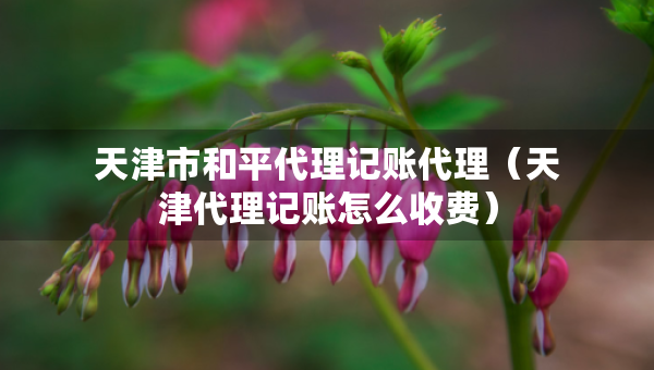 天津市和平代理記賬代理（天津代理記賬怎么收費）