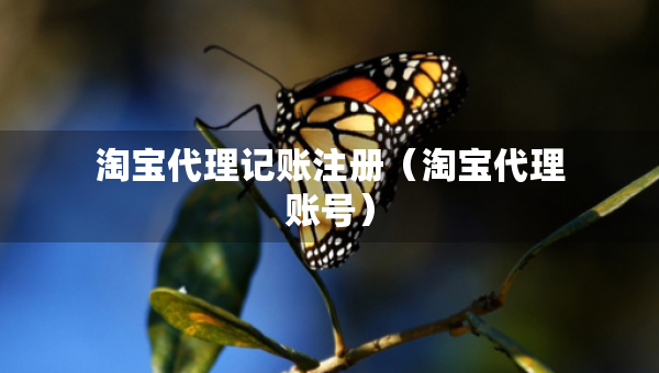 淘寶代理記賬注冊（淘寶代理賬號）