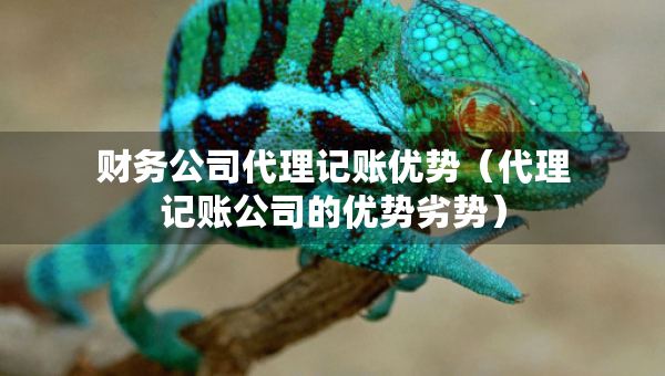 財務(wù)公司代理記賬優(yōu)勢（代理記賬公司的優(yōu)勢劣勢）
