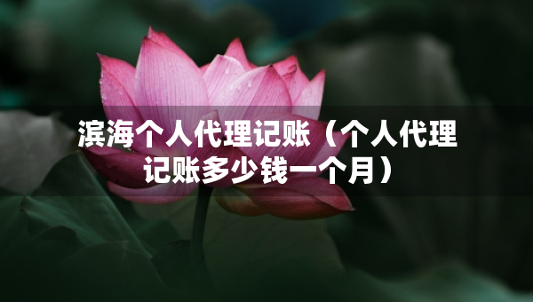 濱海個人代理記賬（個人代理記賬多少錢一個月）
