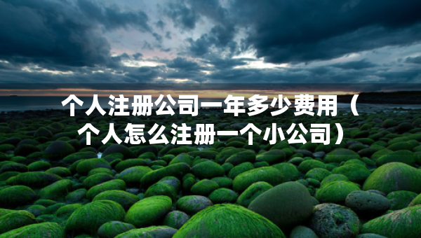 個(gè)人注冊(cè)公司一年多少費(fèi)用（個(gè)人怎么注冊(cè)一個(gè)小公司）
