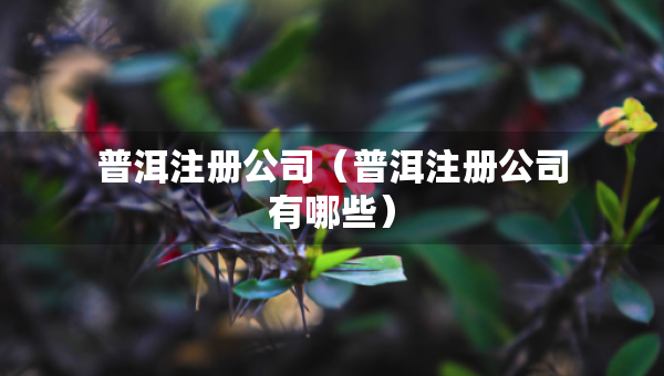 普洱注冊(cè)公司（普洱注冊(cè)公司有哪些）
