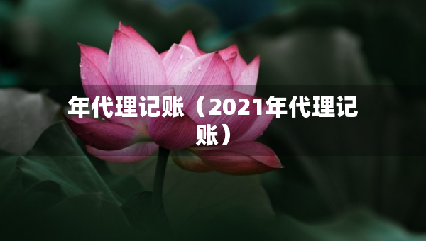 年代理記賬（2021年代理記賬）