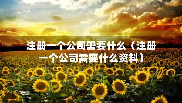 注冊一個公司需要什么（注冊一個公司需要什么資料）
