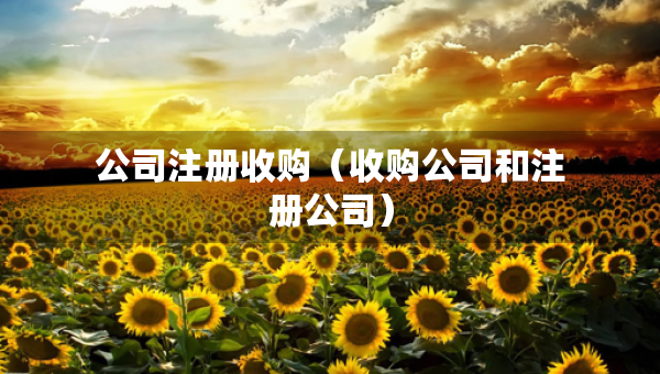 公司注冊(cè)收購（收購公司和注冊(cè)公司）