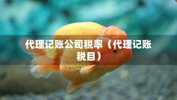代理記賬公司稅率（代理記賬稅目）