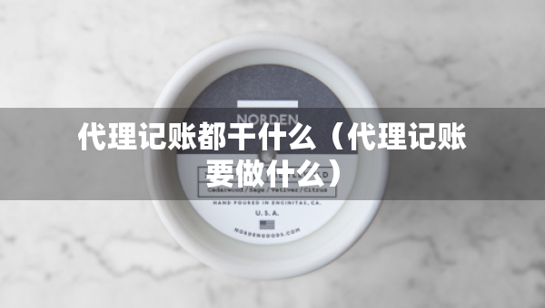 代理記賬都干什么（代理記賬要做什么）
