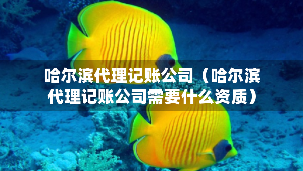 哈爾濱代理記賬公司（哈爾濱代理記賬公司需要什么資質(zhì)）