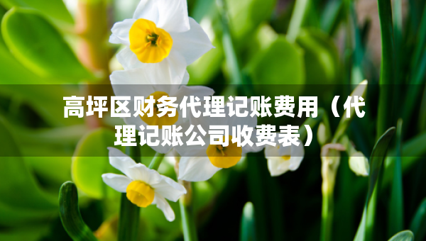 高坪區(qū)財(cái)務(wù)代理記賬費(fèi)用（代理記賬公司收費(fèi)表）