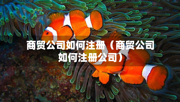 商貿(mào)公司如何注冊(cè)（商貿(mào)公司如何注冊(cè)公司）