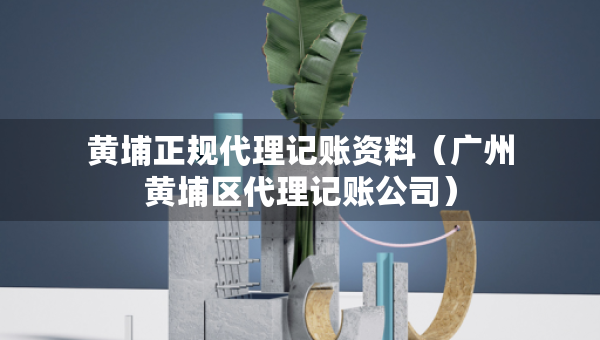 黃埔正規(guī)代理記賬資料（廣州黃埔區(qū)代理記賬公司）