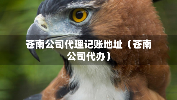 蒼南公司代理記賬地址（蒼南公司代辦）