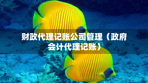 財政代理記賬公司管理（政府會計代理記賬）