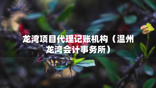 龍灣項(xiàng)目代理記賬機(jī)構(gòu)（溫州龍灣會計事務(wù)所）