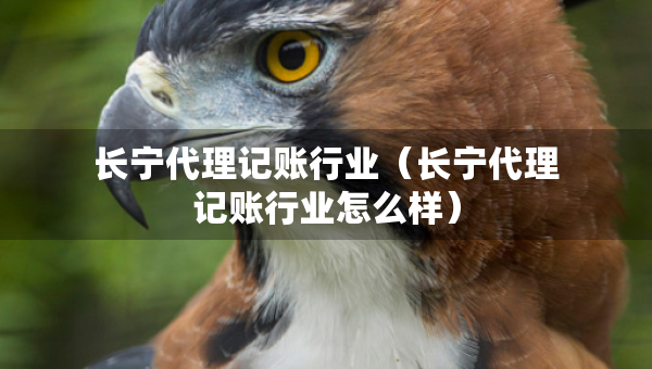 長寧代理記賬行業(yè)（長寧代理記賬行業(yè)怎么樣）